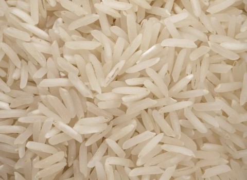 خرید و قیمت برنج محلی دانه بلند + فروش صادراتی